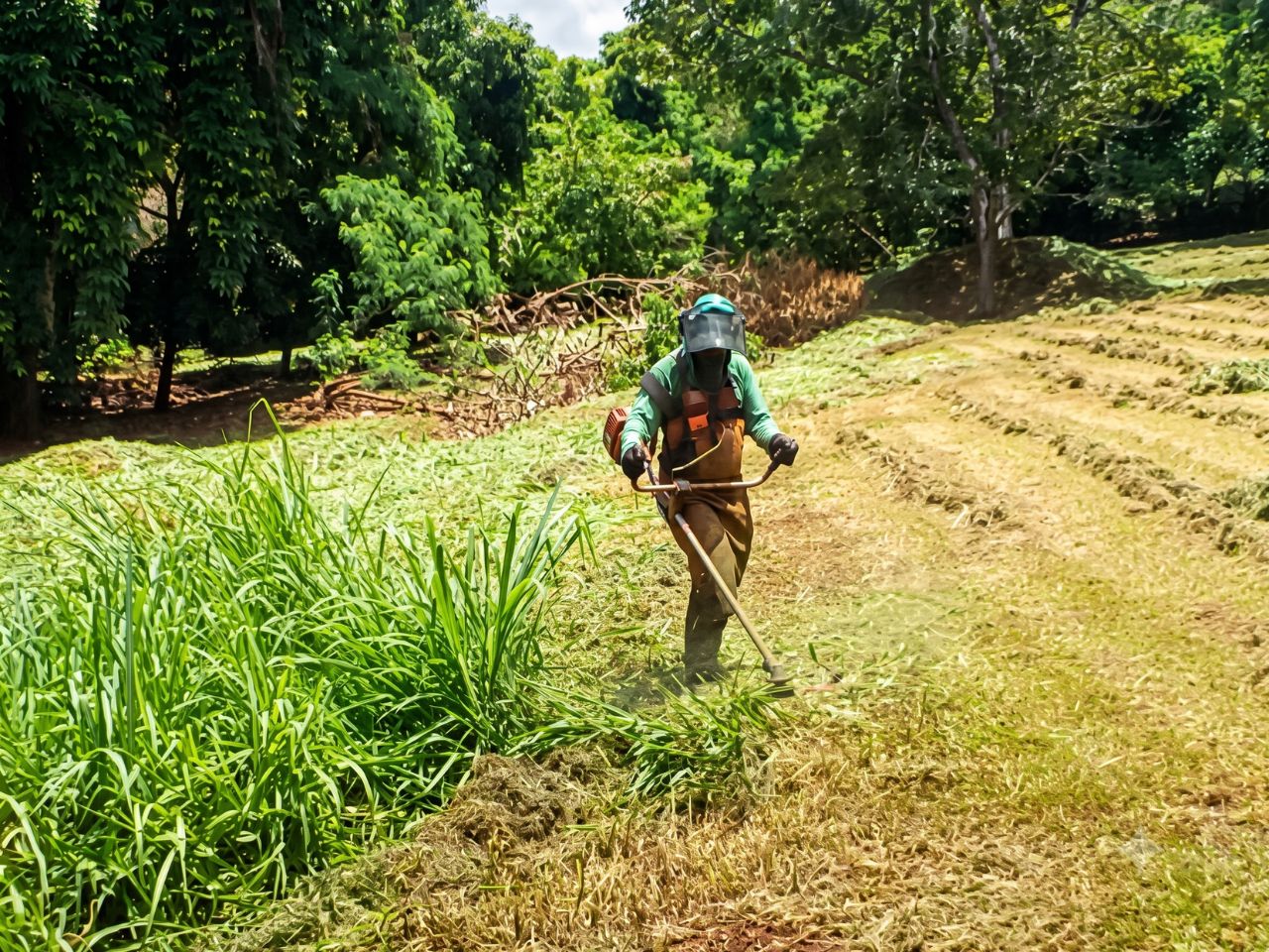 Terreno limpo após o serviço